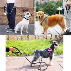 strong dog leash