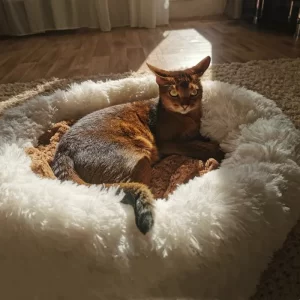super soft cat/dog pet bed