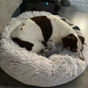 flush cat/dog pet bed
