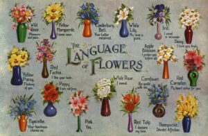 the meaning of flowers