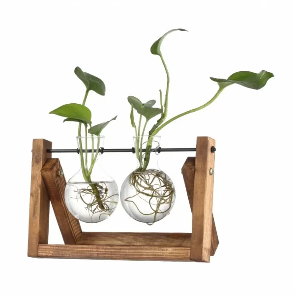 Hydroponic Vintage Glass Vase with Wooden Frame