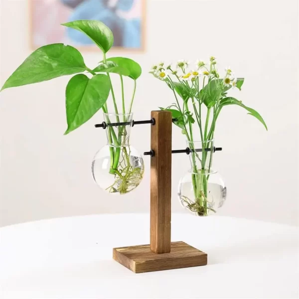 Terrarium Hydroponic Plant Vases
