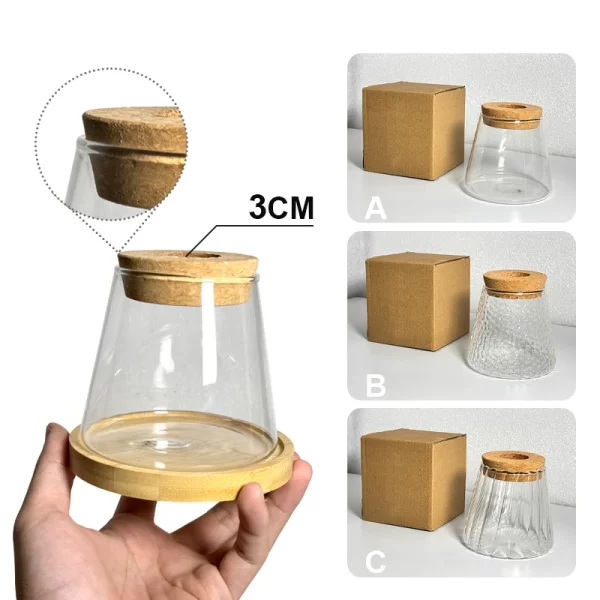 Nordic Simple Transparent Glass Vase