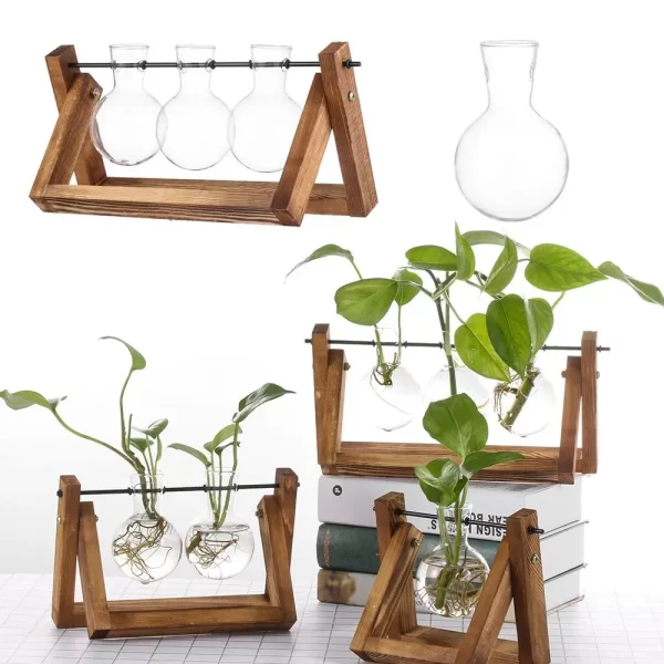 Hydroponic Vintage Glass Vase with Wooden Frame