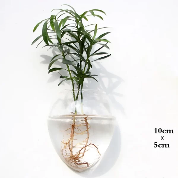 Wall-Hanging Glass Flower Vase